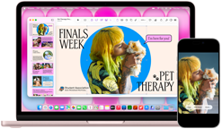 MacBook Neo na cor blush ao lado de um iPhone. A tela do MacBook Neo mostra uma apresentação sobre terapia com bichos de estimação e semana de provas, com a foto de uma pessoa segurando um porquinho-da-índia. A tela do iPhone mostra a mesma foto, que foi transformada em um adesivo para usar na apresentação