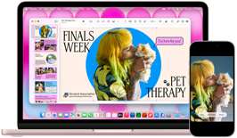 MacBook Neo na cor blush ao lado de um iPhone. A tela do MacBook Neo mostra uma apresentação sobre terapia com bichos de estimação e semana de provas, com a foto de uma pessoa segurando um porquinho-da-índia. A tela do iPhone mostra a mesma foto, que foi transformada em um adesivo para usar na apresentação